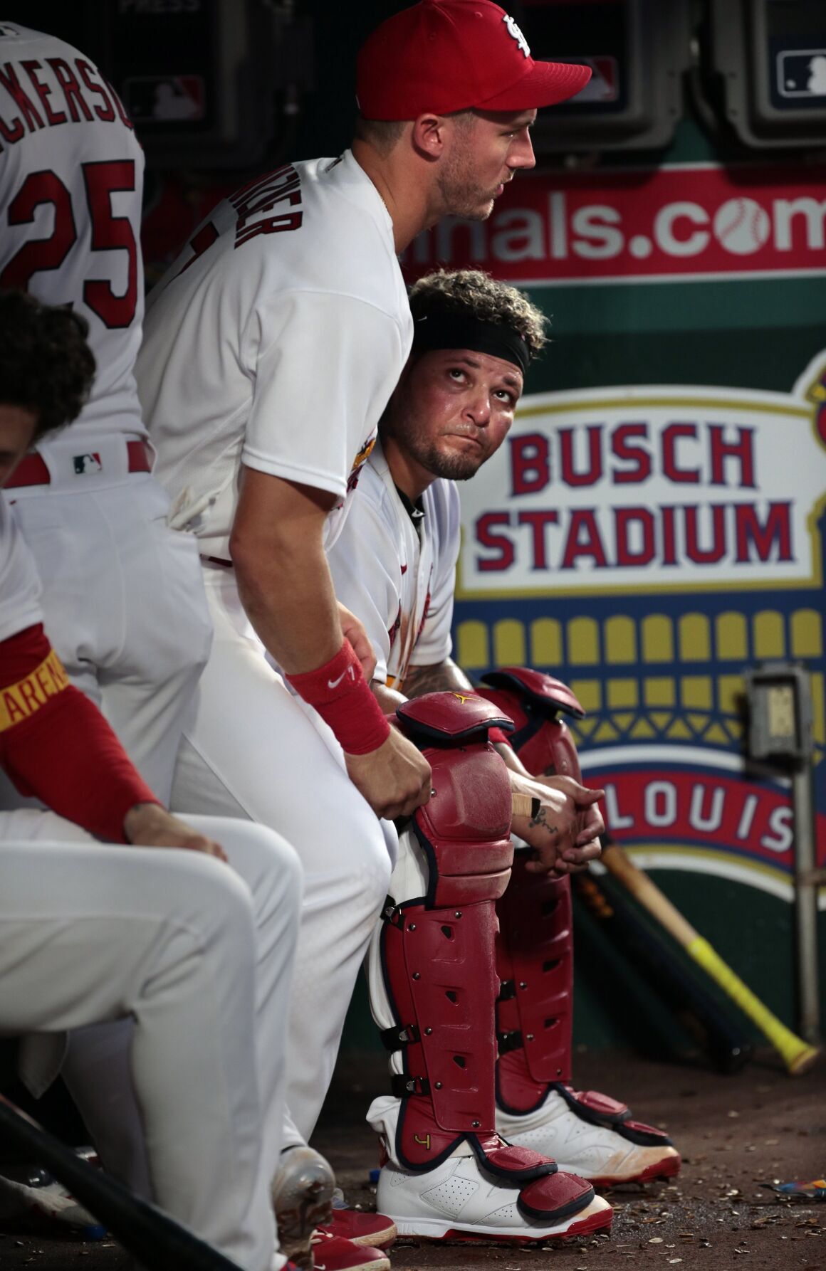 Cardinals, Orioles at Busch